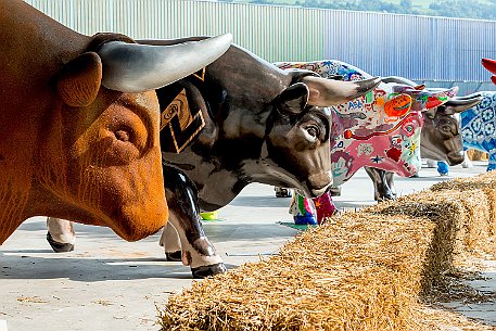 Stierparade Zug