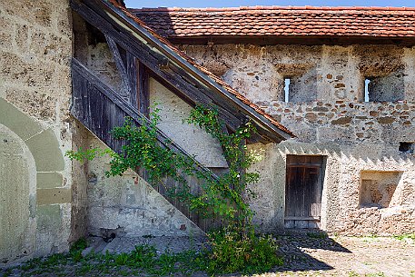 Schloss Laupen